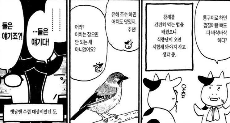 강연금 작가가 '전해 들은' 시골 비화_2.jpg