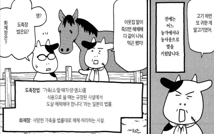 강연금 작가가 '전해 들은' 시골 비화_3.jpg