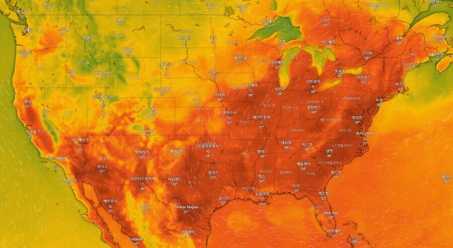 폭염으로 파손된 미국 도로 근황_1.jpg