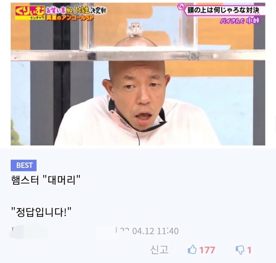촉감퀴즈_1.jpg