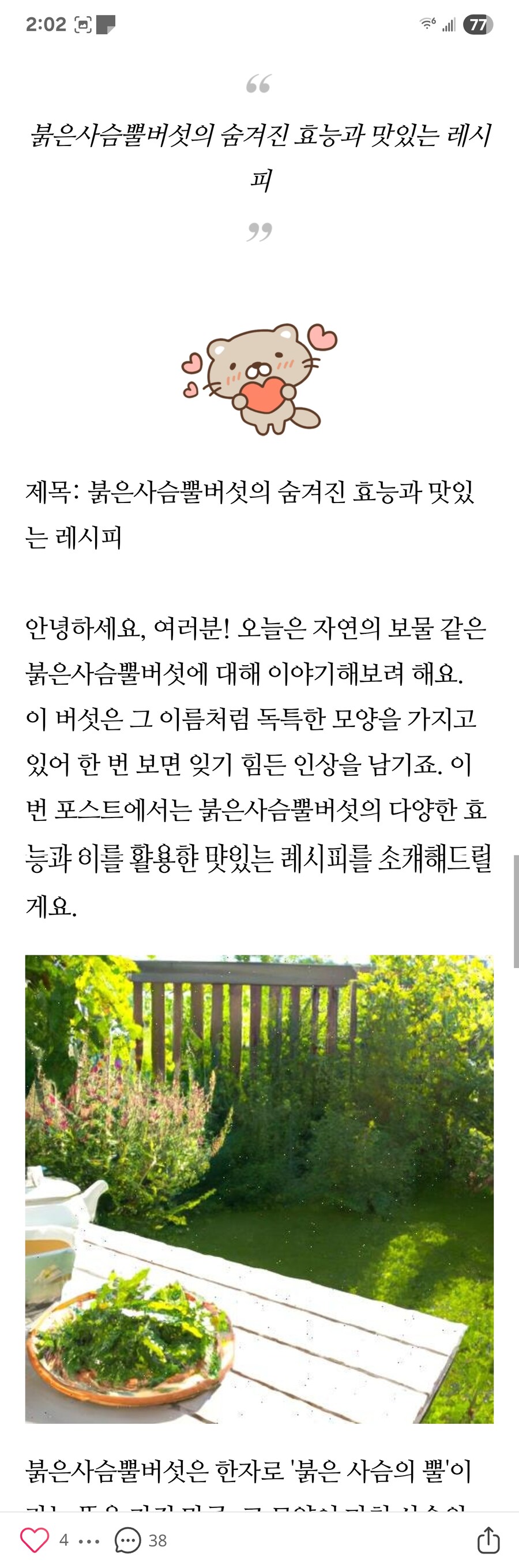 베스트에 네이버 블로그 근황 글 보고 나도 검색해봤는데_2.jpg