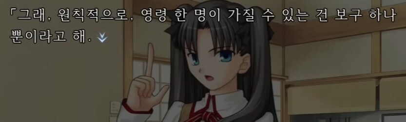 페이트) 원칙적으로 영령이 가질 수 있는 보구는 하나 뿐이야_1.jpg