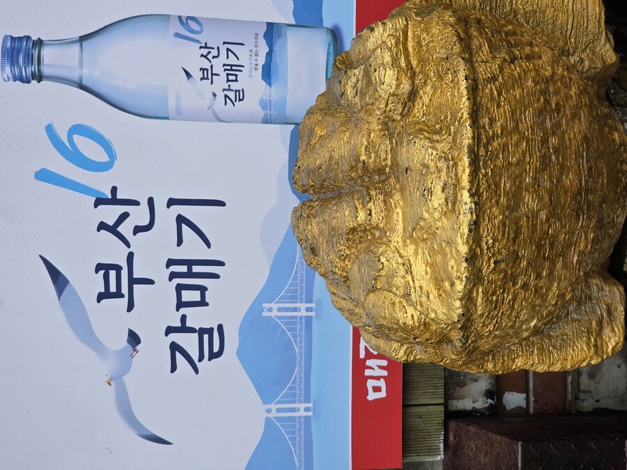 먹짤) 밥먹구 카페다녀옴_3.jpg