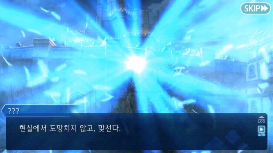 페이트) 달동네 세계의 돈키호테 특징_25.jpg