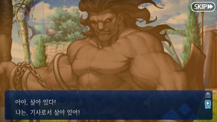 페이트) 달동네 세계의 돈키호테 특징_14.jpg