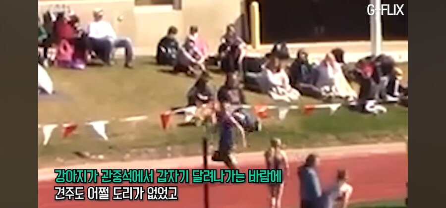 대학 육상 경기에 난입한 똥강아지_1.jpg
