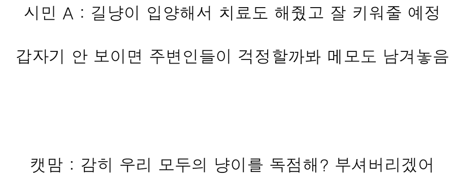 어제자 '캣맘은 정신병' 근황.jpg_4.webp