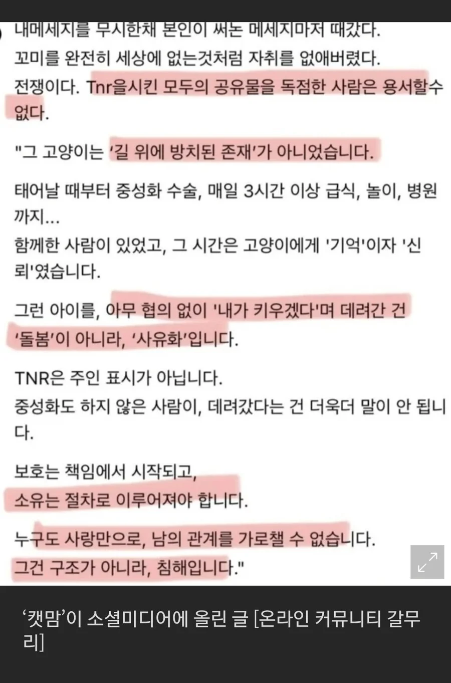 어제자 '캣맘은 정신병' 근황.jpg_3.webp