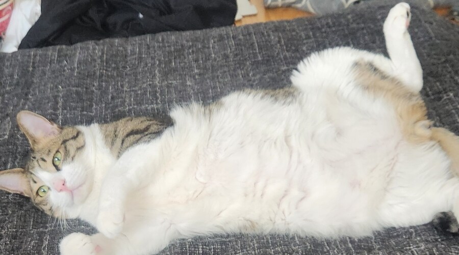 뭐라고 ㅇㅍㄹ가 ㅇ왔다고?_1.jpg