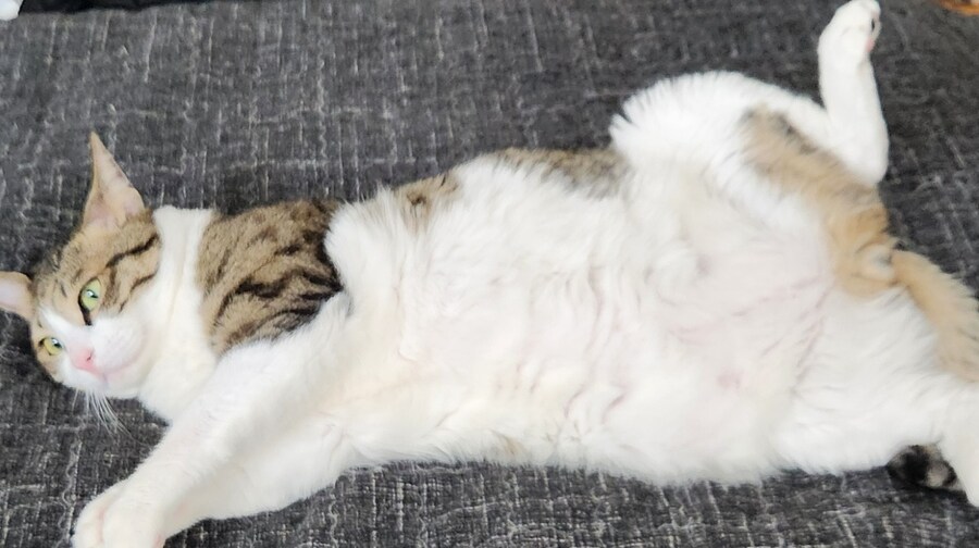 뭐라고 ㅇㅍㄹ가 ㅇ왔다고?_2.jpg