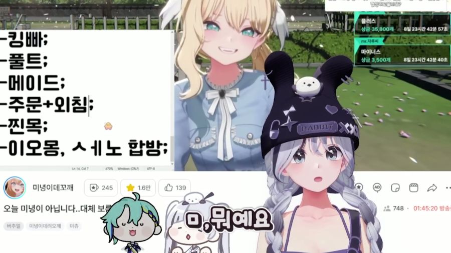 버튜버)불구경 할때 거리두기를 잘 해야하는 이유_3.jpg