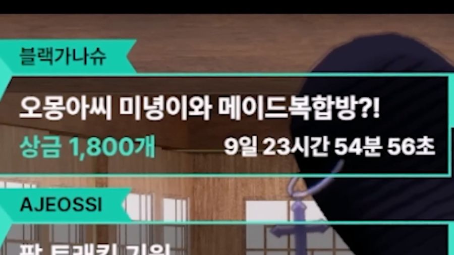 버튜버)불구경 할때 거리두기를 잘 해야하는 이유_6.jpg