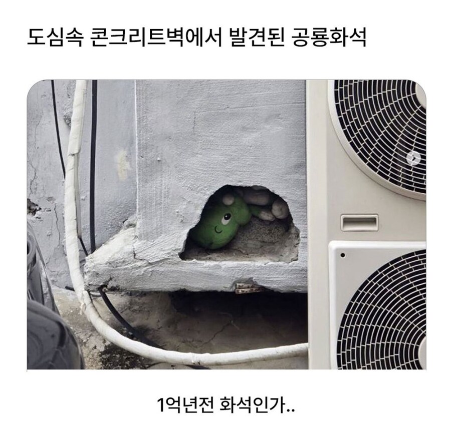 1억년 전 콘크리트를 타고 내려온_1.jpg