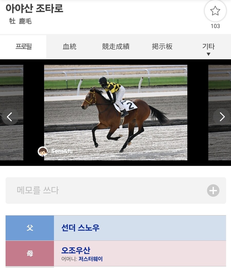 경마) 전국 투어 공연 중인 말딸 성우/애니송 가수 아사카의 근황._4.jpg