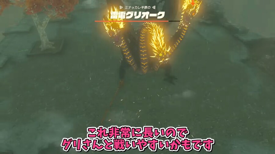 젤다)왕눈 글리치 근황.mp4_1.png