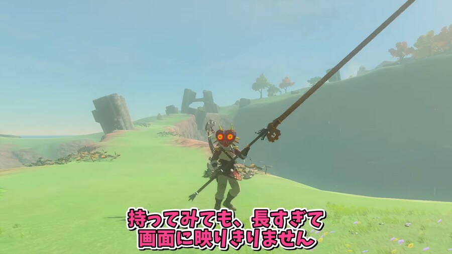 젤다)왕눈 글리치 근황.mp4_2.png