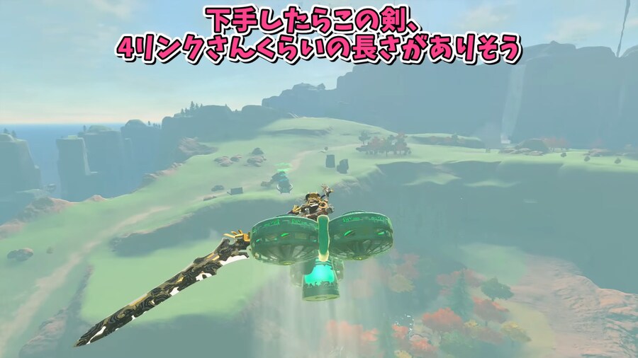 젤다)왕눈 글리치 근황.mp4_3.png