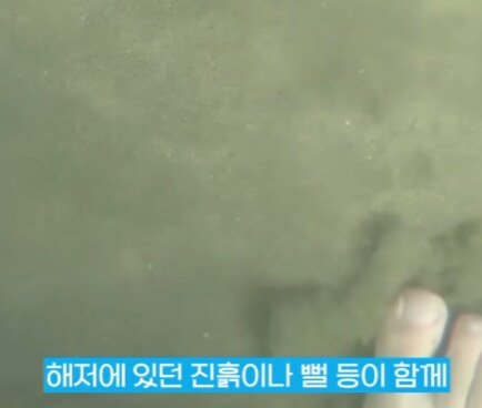 똥싸는 크루즈선의 진실_4.png