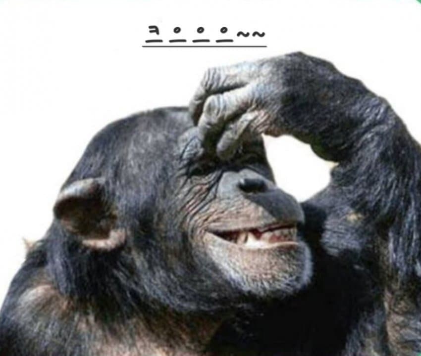 니케) 스블 콜라보 신캐 근황_3.jpg