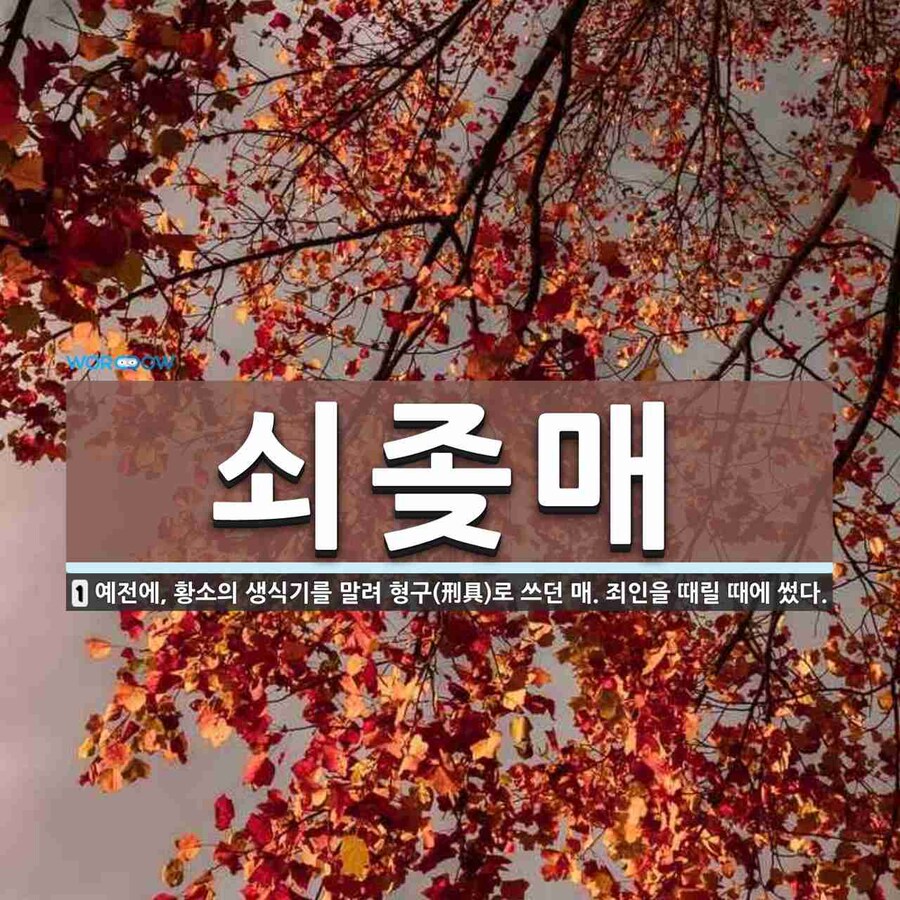 쇠조ㅈ매 (소의 거시기...)_2.jpg
