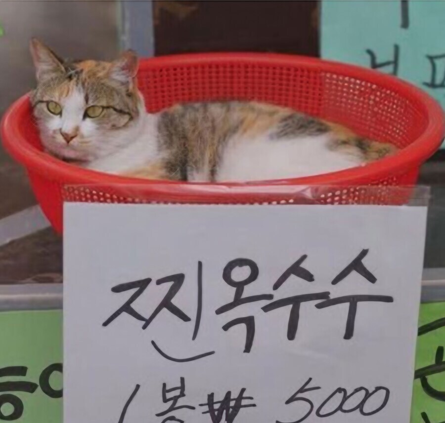 "지역화폐"라는 단어 진짜 보기 싫다._1.jpg
