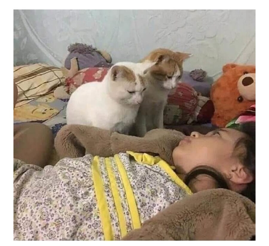 일어나 밥줘_1.jpg