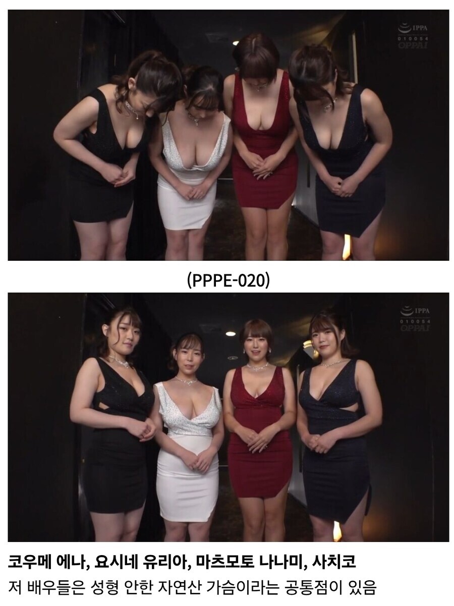 남자 1명당 여자 4명 AV 레전드_1.jpg