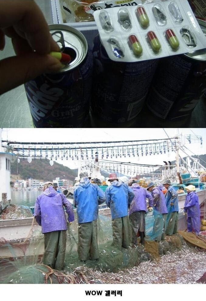 한국 인터넷 고대시절 괴담.jpg_2.png