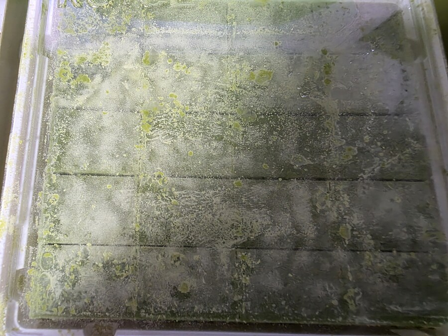 로이스 초콜릿 가격은 시바존나올랐는데_1.jpg