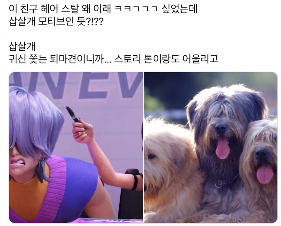 케이팝) 트위터에서 추측하는 사자보이즈 멤버의 정체_2.jpg