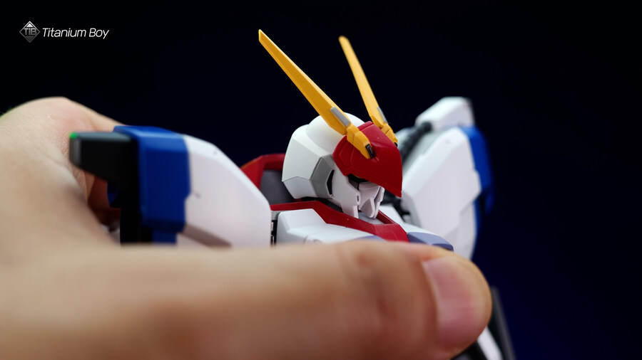 센티넬 RIOBOT 드라고나 1 커스텀 (하이메탈R 비교)_66.jpg