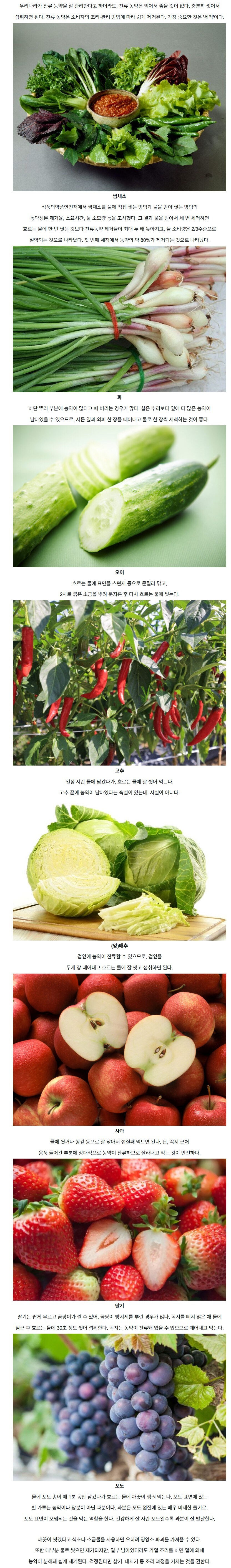 농산물의 잔류 농약? 제거하는 세척법_1.jpg