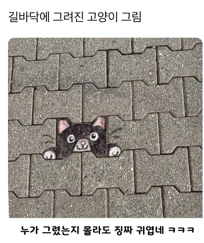 길바닥에 그려진 고양이 그림_1.jpg