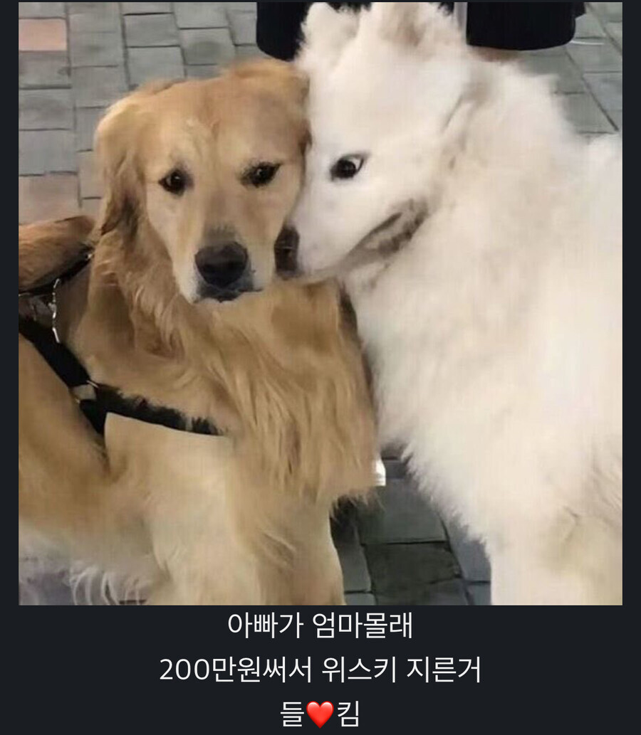 아빠가 엄마몰래 위스키 200만원어치 지른거 들킴_1.jpg
