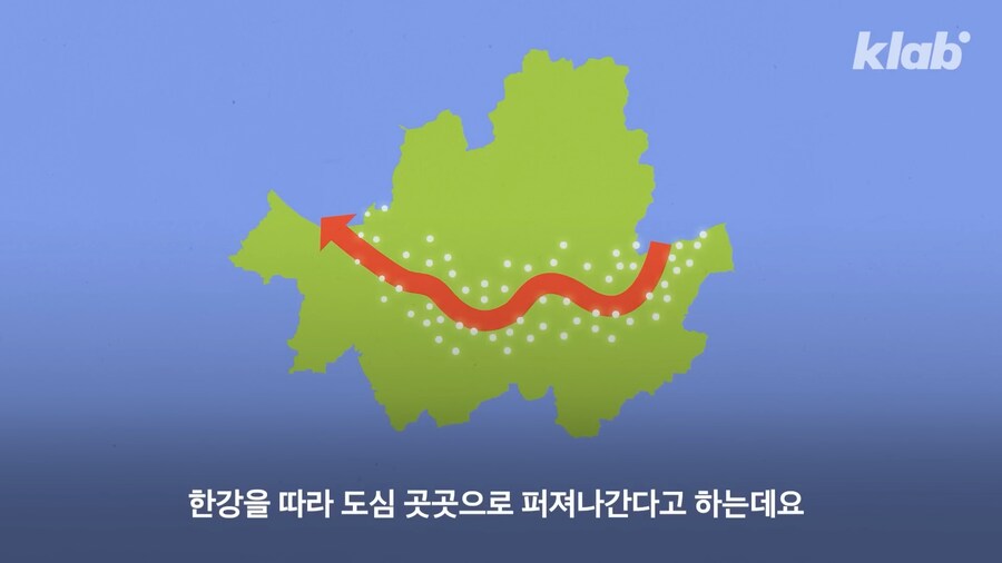수도권 요즘 하루살이 안보이는 이유_1.png
