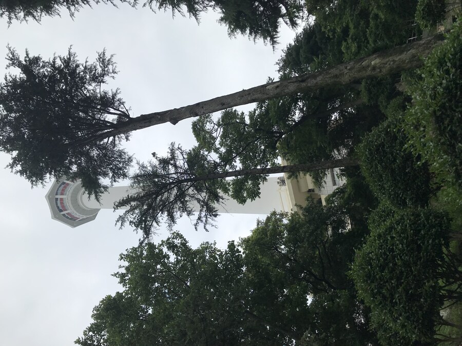 붓산타워._1.jpg