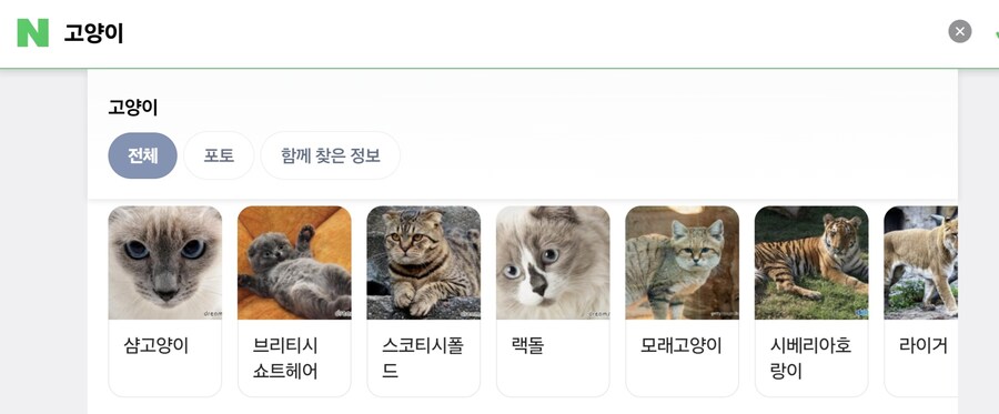 호랑이는 고양이의 한 품종입니다_1.jpg