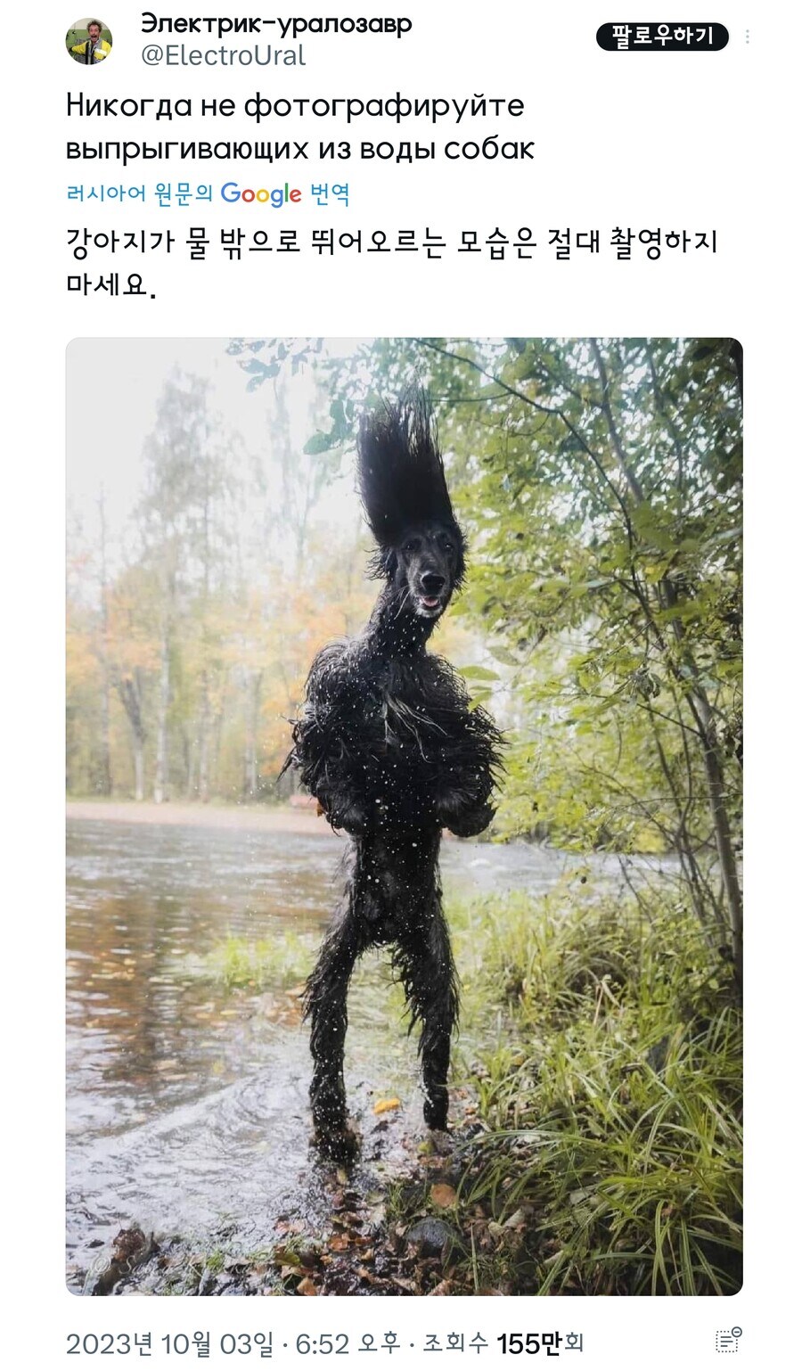 애완동물 귀엽다고 함부로 촬영하면 안되는 이유_1.jpg