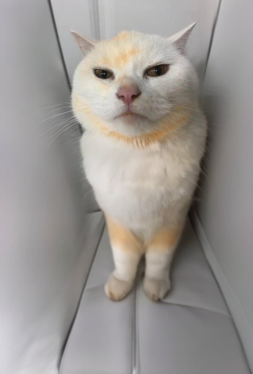 뭐? ㅅㅂ 뭐 내가 잘못했냐? 뭐 어쩌라고?_2.jpg