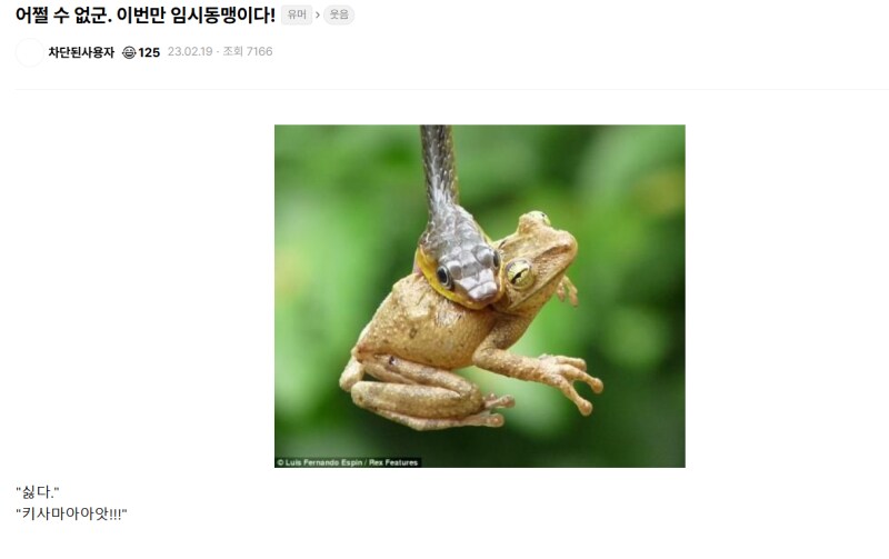 이번만 임시 동맹이다_1.png