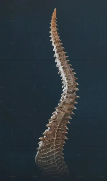 스텔라블레이드)솔직히 얘가 제일 싫지않음?_1.webp