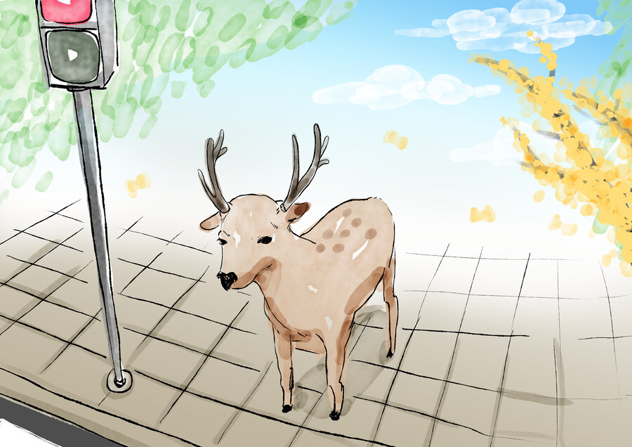 심심한 수요일을 위한 그림 배달_3.jpg