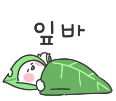 ㅇㅇㄱ) 왁천지 돌천지들 보면 뒷목잡는 UFC_4.png