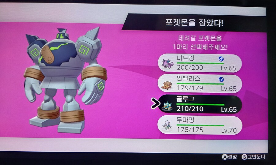 이로치 골루그_1.jpg
