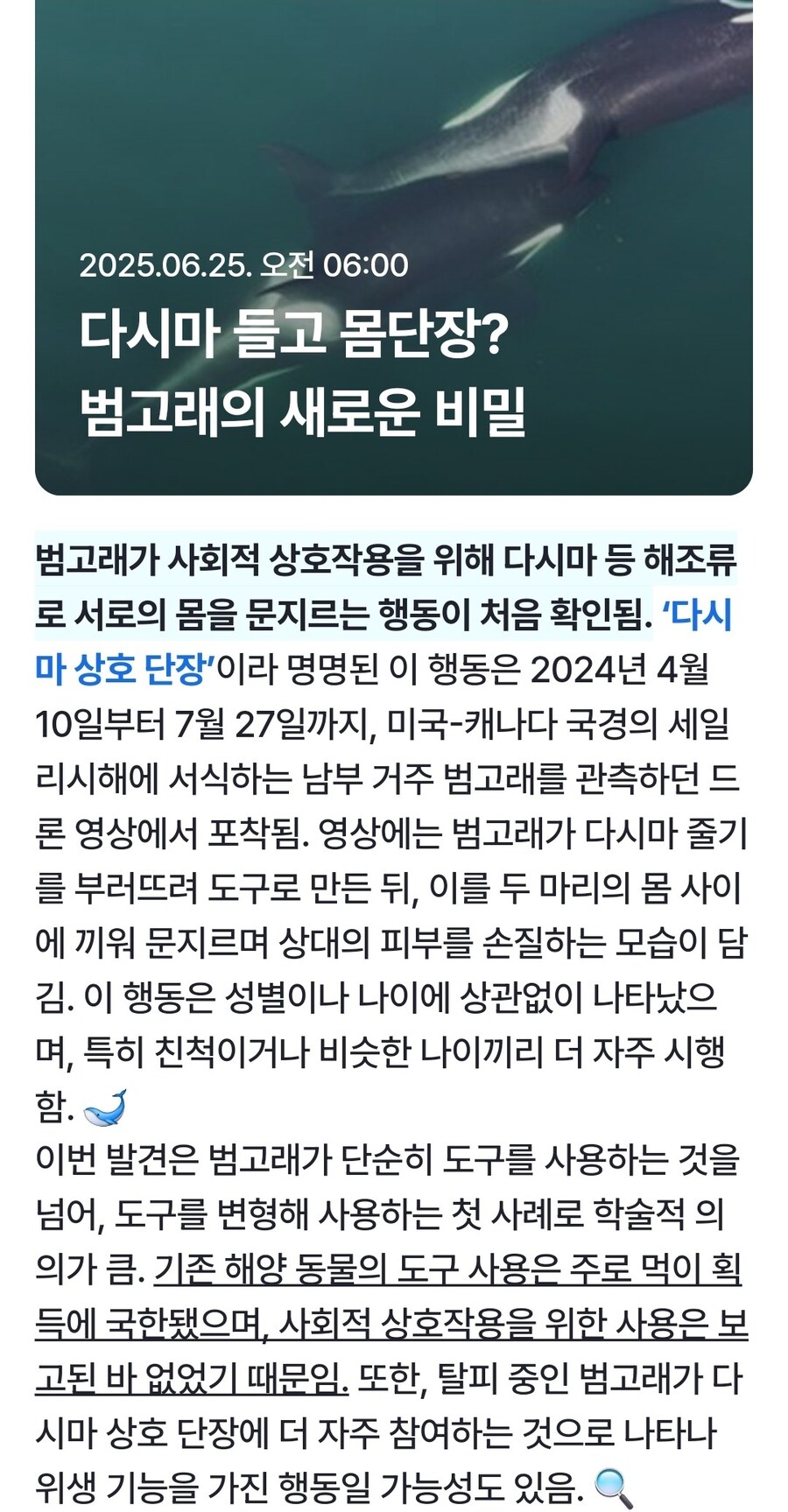 악마는 패션을 입는다.jpg_1.jpg