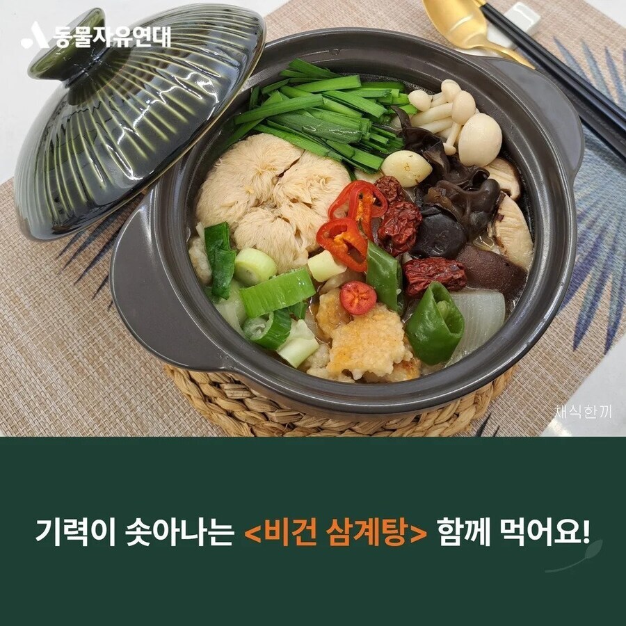 아무도 해치지 않는 완벽한 음식.jpg_3.jpg