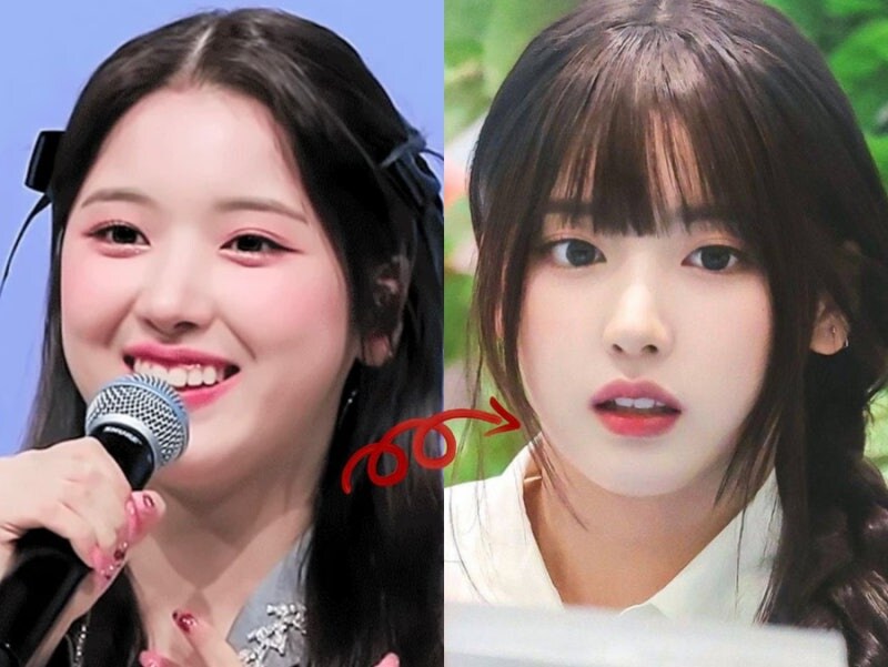 팬들에게 다이어트 압박으로 스트레스 받은 여돌들_1.jpg