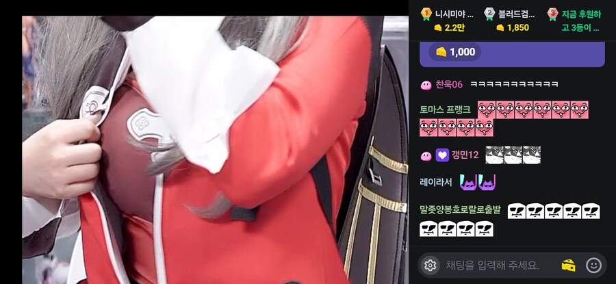 버튜버) 자기 옷 자랑하는 버튜버_1.png