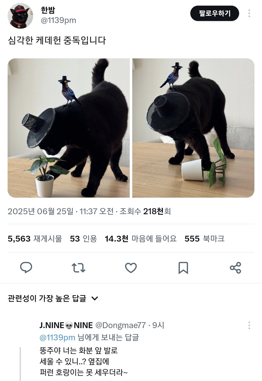 케이팝) 심각한 케데헌 중독 냥집사_1.jpg