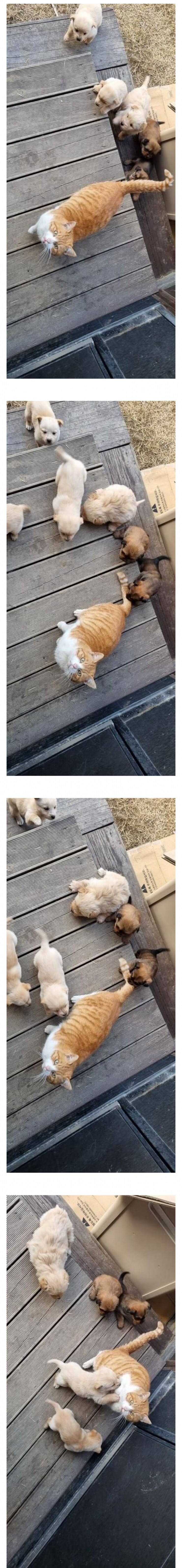 좀비영화에서 많이 본 구도_1.png